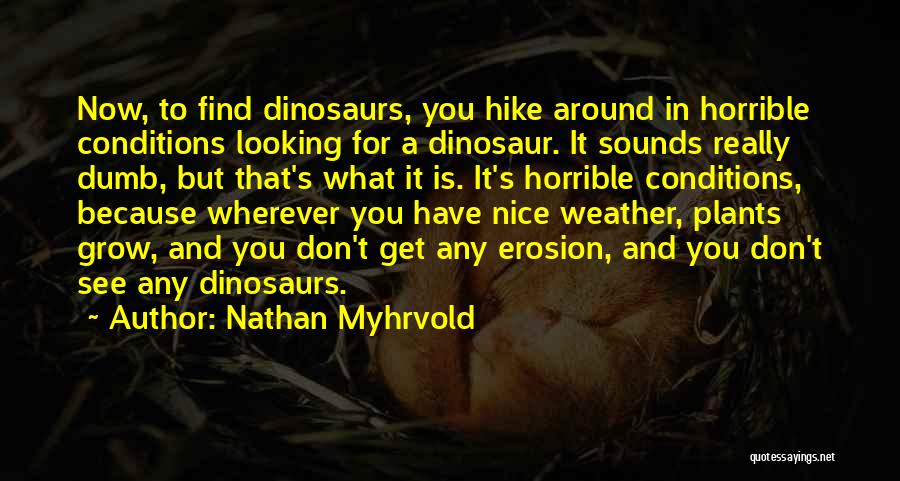 Nathan Myhrvold Quotes: Now, To Find Dinosaurs, You Hike Around In Horrible Conditions Looking For A Dinosaur. It Sounds Really Dumb, But That's