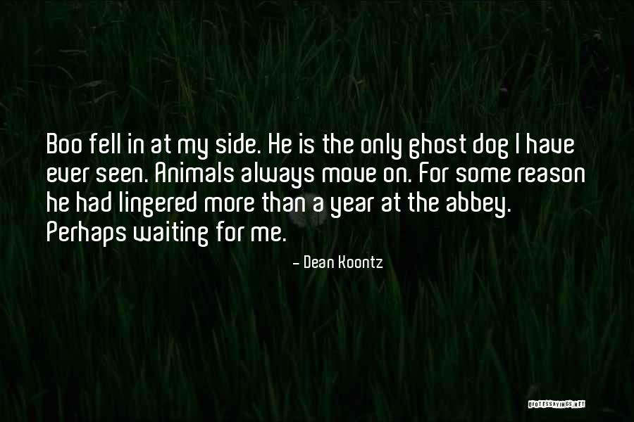 454 Casull Quotes By Dean Koontz 454 Casull Quotes By Dean Koontz