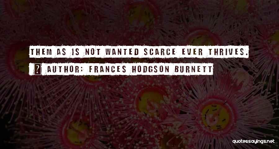 Frances Hodgson Burnett Quotes: Them As Is Not Wanted Scarce Ever Thrives.