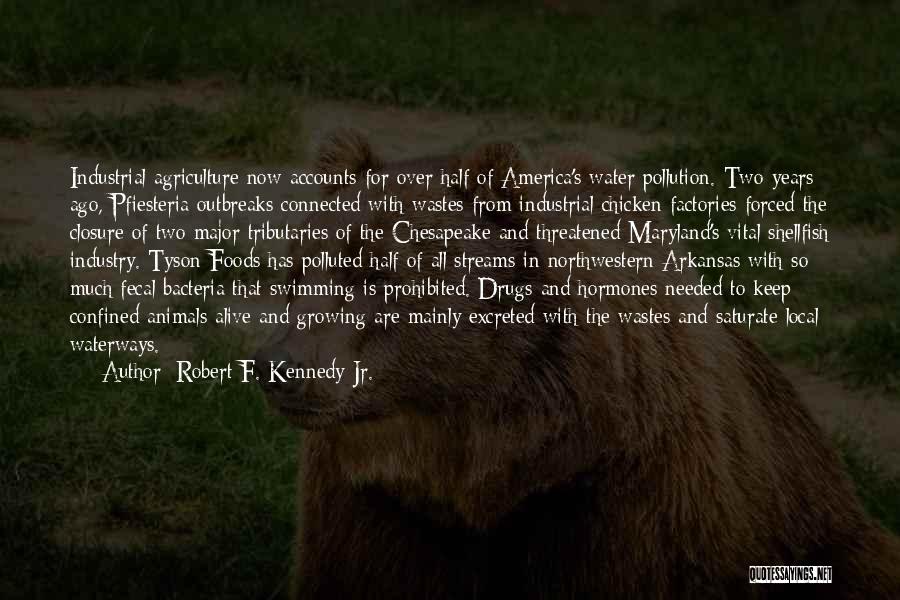 Robert F. Kennedy Jr. Quotes: Industrial Agriculture Now Accounts For Over Half Of America's Water Pollution. Two Years Ago, Pfiesteria Outbreaks Connected With Wastes From