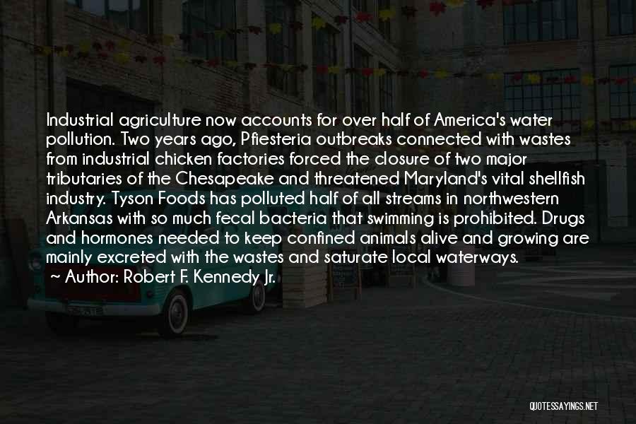 Robert F. Kennedy Jr. Quotes: Industrial Agriculture Now Accounts For Over Half Of America's Water Pollution. Two Years Ago, Pfiesteria Outbreaks Connected With Wastes From