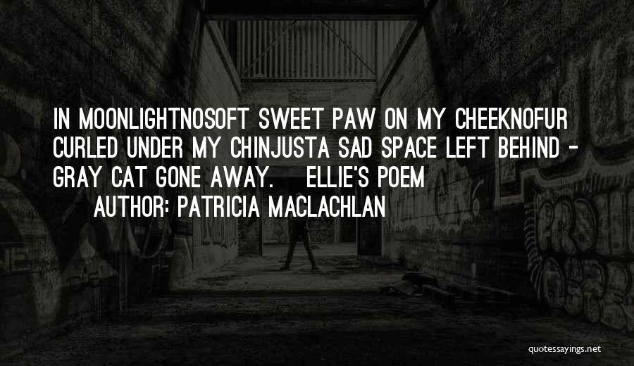 Patricia MacLachlan Quotes: In Moonlightnosoft Sweet Paw On My Cheeknofur Curled Under My Chinjusta Sad Space Left Behind - Gray Cat Gone Away.