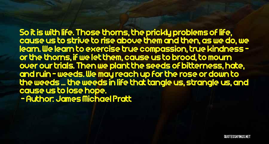 James Michael Pratt Quotes: So It Is With Life. Those Thorns, The Prickly Problems Of Life, Cause Us To Strive To Rise Above Them