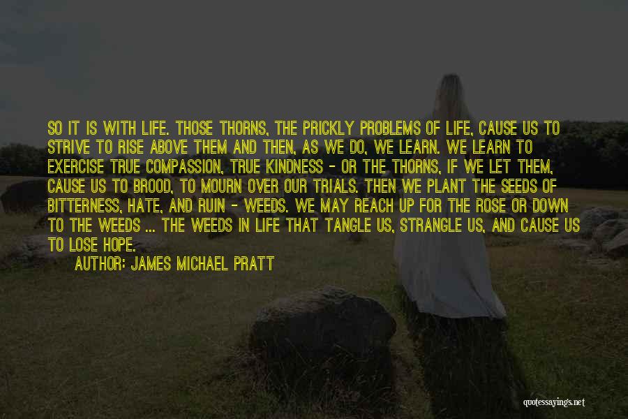 James Michael Pratt Quotes: So It Is With Life. Those Thorns, The Prickly Problems Of Life, Cause Us To Strive To Rise Above Them