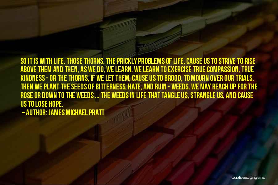 James Michael Pratt Quotes: So It Is With Life. Those Thorns, The Prickly Problems Of Life, Cause Us To Strive To Rise Above Them