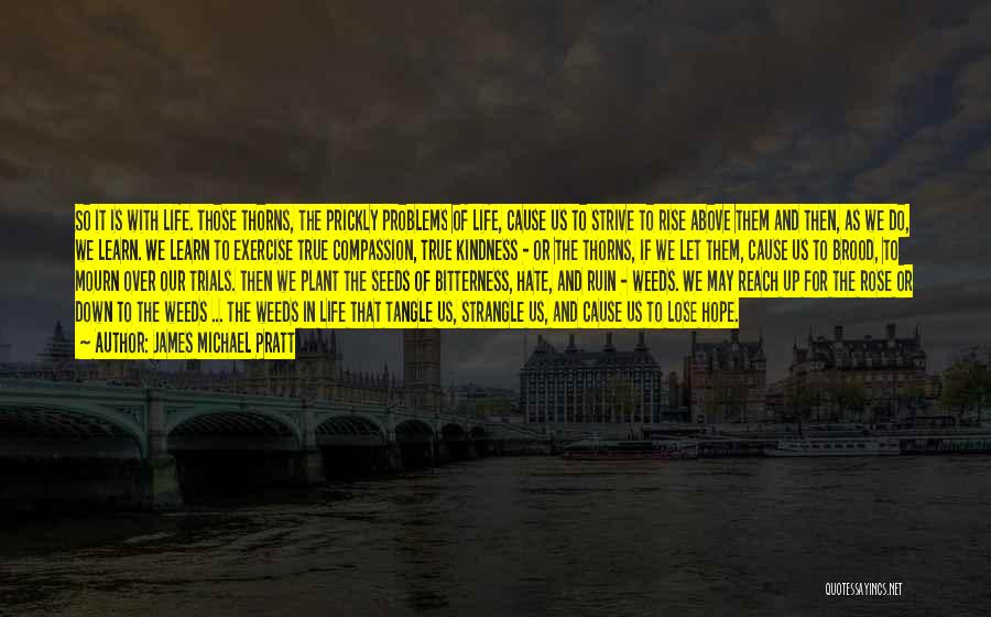 James Michael Pratt Quotes: So It Is With Life. Those Thorns, The Prickly Problems Of Life, Cause Us To Strive To Rise Above Them