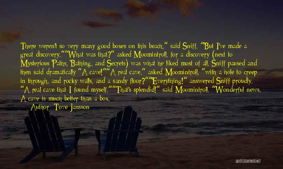 Tove Jansson Quotes: There Weren't So Very Many Good Boxes On This Beach, Said Sniff. But I've Made A Great Discovery.what Was That?