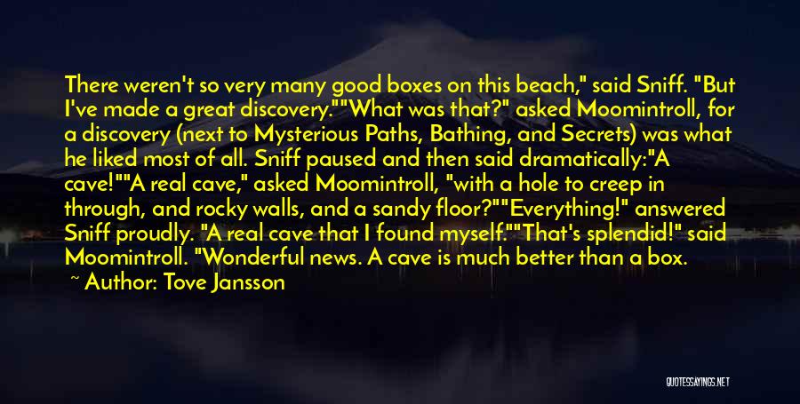 Tove Jansson Quotes: There Weren't So Very Many Good Boxes On This Beach, Said Sniff. But I've Made A Great Discovery.what Was That?