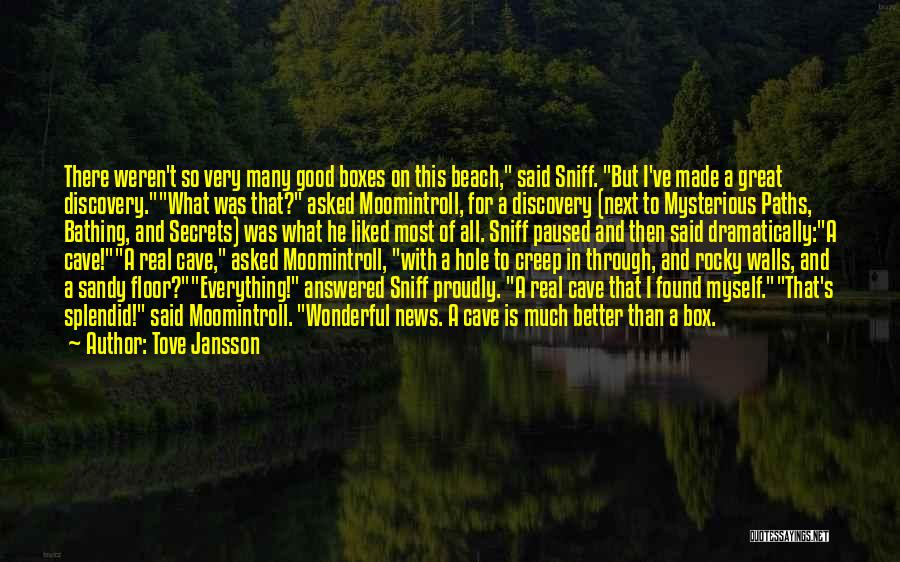 Tove Jansson Quotes: There Weren't So Very Many Good Boxes On This Beach, Said Sniff. But I've Made A Great Discovery.what Was That?