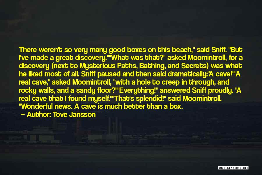 Tove Jansson Quotes: There Weren't So Very Many Good Boxes On This Beach, Said Sniff. But I've Made A Great Discovery.what Was That?