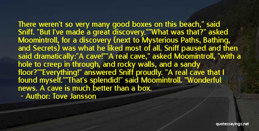 Tove Jansson Quotes: There Weren't So Very Many Good Boxes On This Beach, Said Sniff. But I've Made A Great Discovery.what Was That?