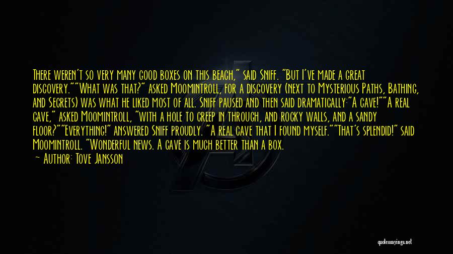 Tove Jansson Quotes: There Weren't So Very Many Good Boxes On This Beach, Said Sniff. But I've Made A Great Discovery.what Was That?