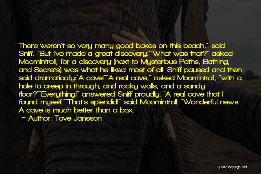 Tove Jansson Quotes: There Weren't So Very Many Good Boxes On This Beach, Said Sniff. But I've Made A Great Discovery.what Was That?
