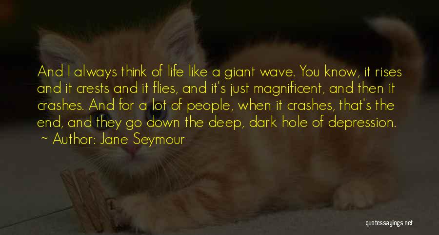 Jane Seymour Quotes: And I Always Think Of Life Like A Giant Wave. You Know, It Rises And It Crests And It Flies,