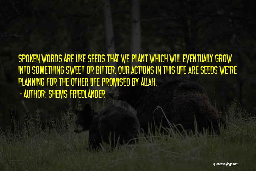 Shems Friedlander Quotes: Spoken Words Are Like Seeds That We Plant Which Will Eventually Grow Into Something Sweet Or Bitter. Our Actions In