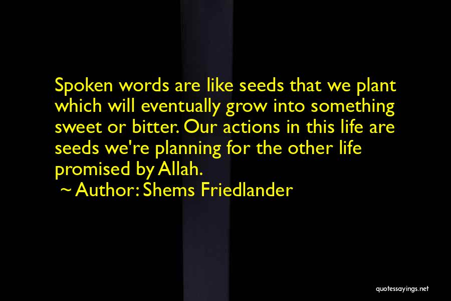 Shems Friedlander Quotes: Spoken Words Are Like Seeds That We Plant Which Will Eventually Grow Into Something Sweet Or Bitter. Our Actions In