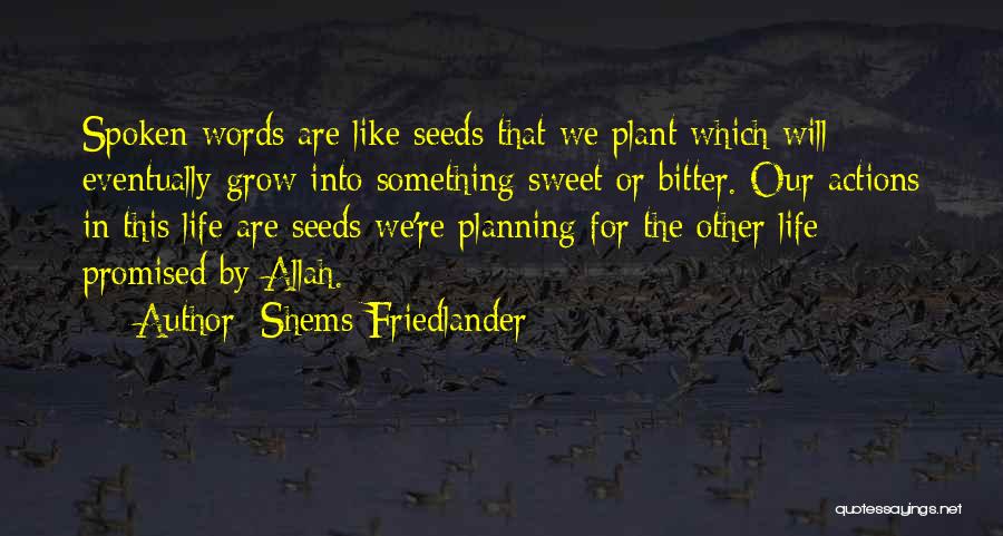 Shems Friedlander Quotes: Spoken Words Are Like Seeds That We Plant Which Will Eventually Grow Into Something Sweet Or Bitter. Our Actions In