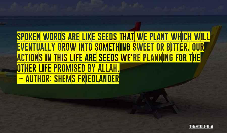 Shems Friedlander Quotes: Spoken Words Are Like Seeds That We Plant Which Will Eventually Grow Into Something Sweet Or Bitter. Our Actions In