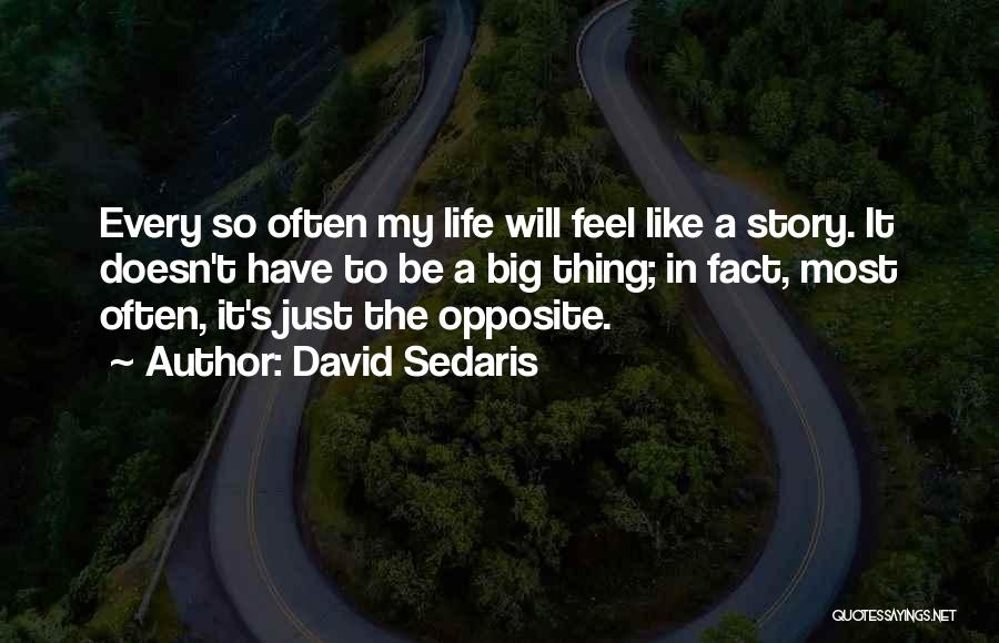 David Sedaris Quotes: Every So Often My Life Will Feel Like A Story. It Doesn't Have To Be A Big Thing; In Fact,