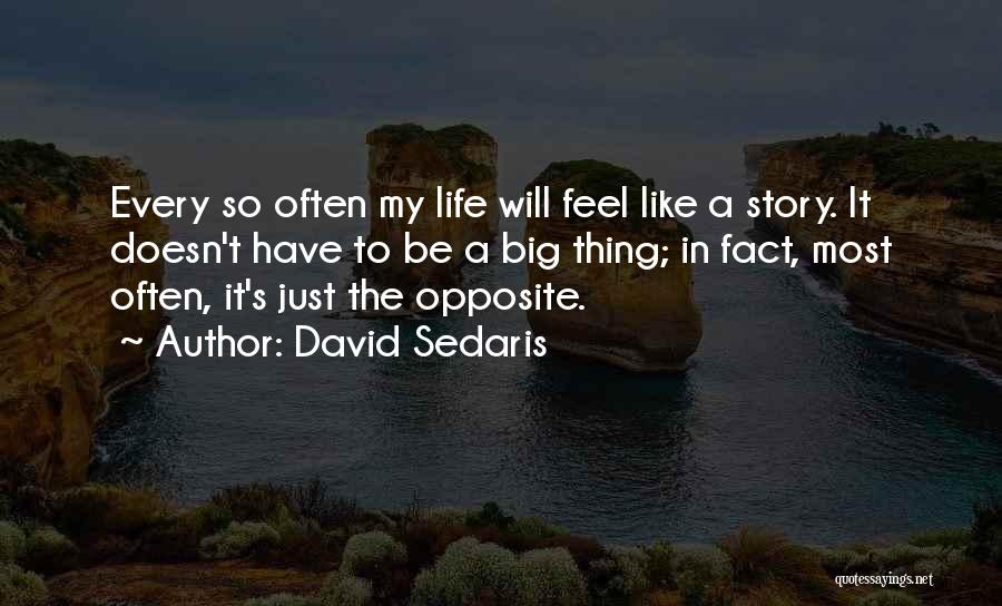 David Sedaris Quotes: Every So Often My Life Will Feel Like A Story. It Doesn't Have To Be A Big Thing; In Fact,