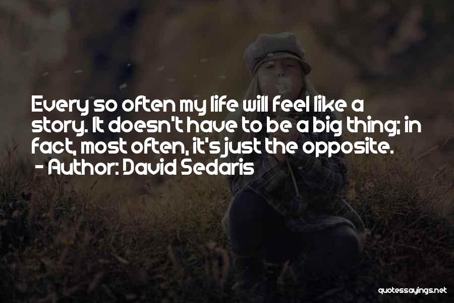 David Sedaris Quotes: Every So Often My Life Will Feel Like A Story. It Doesn't Have To Be A Big Thing; In Fact,