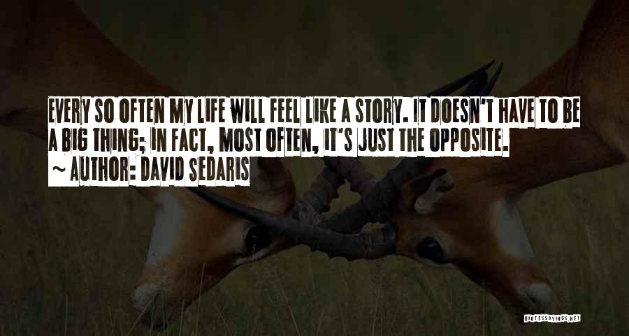 David Sedaris Quotes: Every So Often My Life Will Feel Like A Story. It Doesn't Have To Be A Big Thing; In Fact,