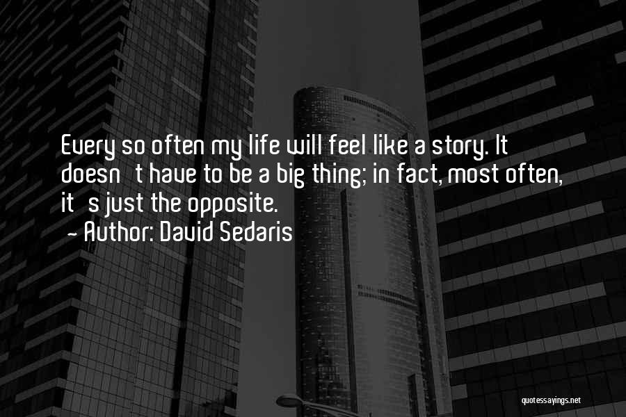 David Sedaris Quotes: Every So Often My Life Will Feel Like A Story. It Doesn't Have To Be A Big Thing; In Fact,