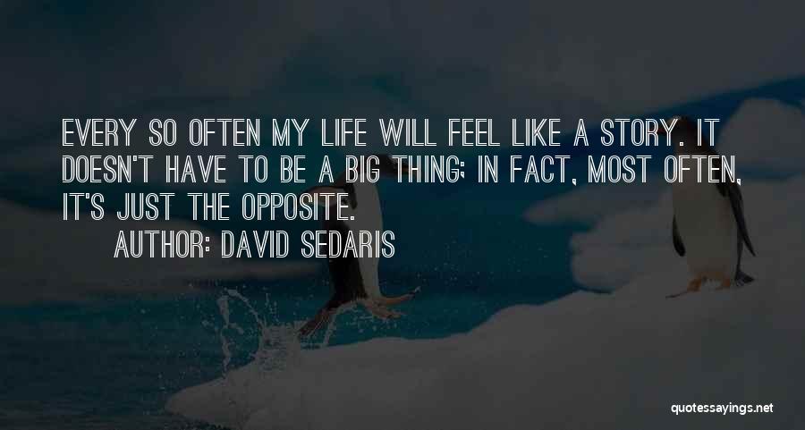 David Sedaris Quotes: Every So Often My Life Will Feel Like A Story. It Doesn't Have To Be A Big Thing; In Fact,