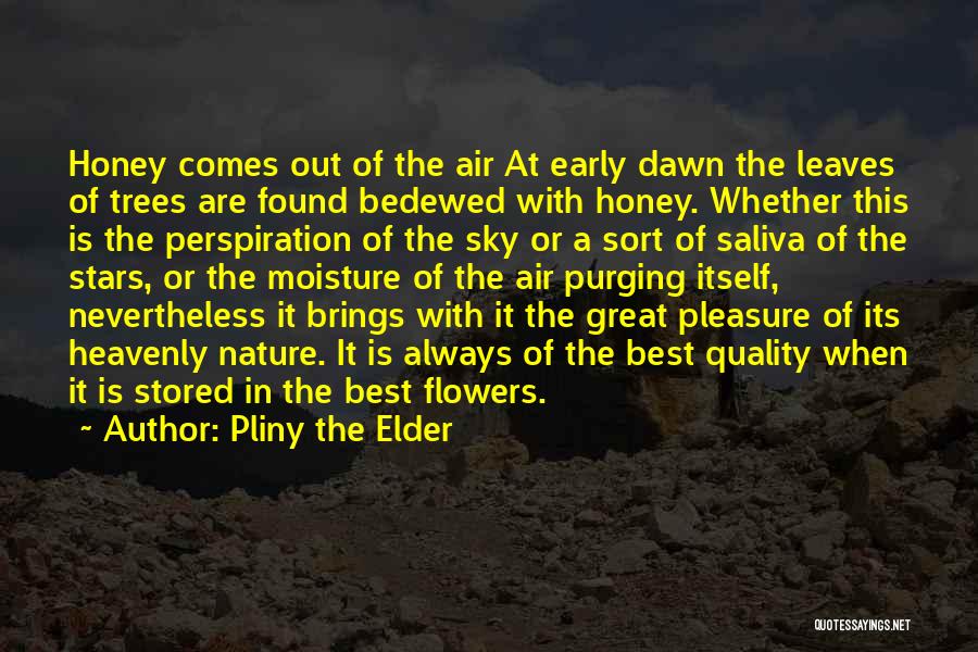 Pliny The Elder Quotes: Honey Comes Out Of The Air At Early Dawn The Leaves Of Trees Are Found Bedewed With Honey. Whether This