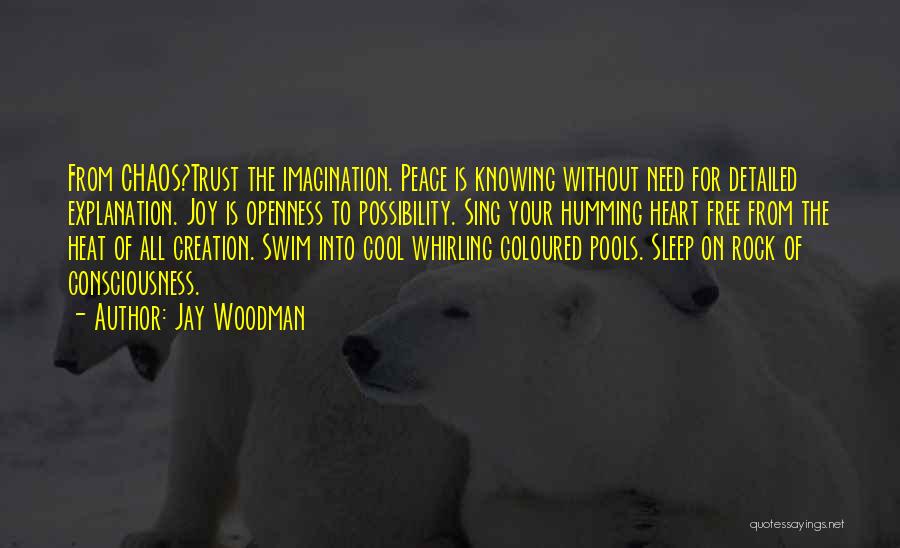 Jay Woodman Quotes: From Chaos?trust The Imagination. Peace Is Knowing Without Need For Detailed Explanation. Joy Is Openness To Possibility. Sing Your Humming