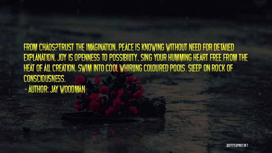 Jay Woodman Quotes: From Chaos?trust The Imagination. Peace Is Knowing Without Need For Detailed Explanation. Joy Is Openness To Possibility. Sing Your Humming