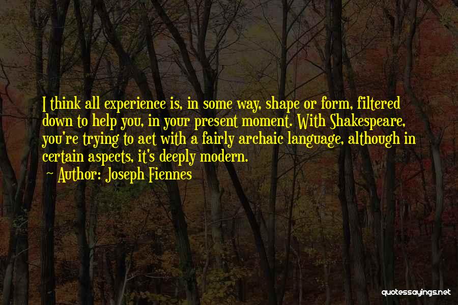 Joseph Fiennes Quotes: I Think All Experience Is, In Some Way, Shape Or Form, Filtered Down To Help You, In Your Present Moment.