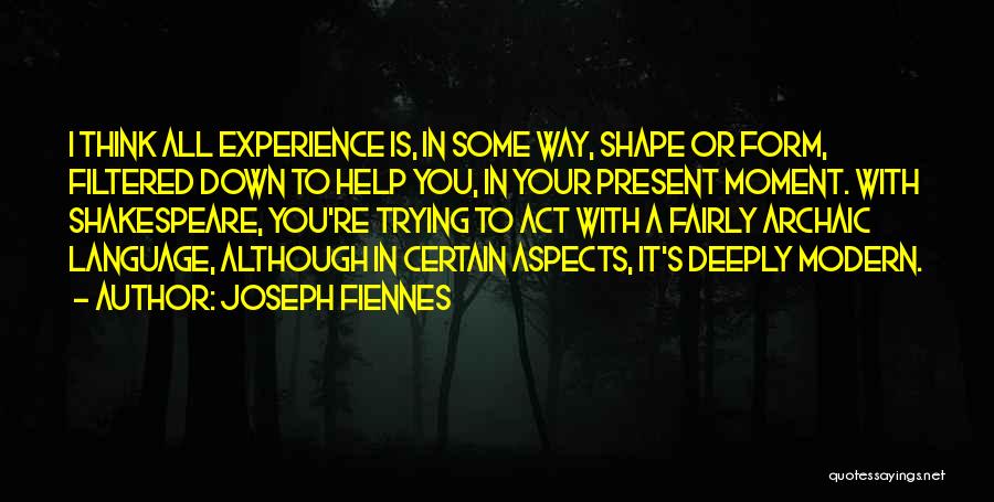 Joseph Fiennes Quotes: I Think All Experience Is, In Some Way, Shape Or Form, Filtered Down To Help You, In Your Present Moment.