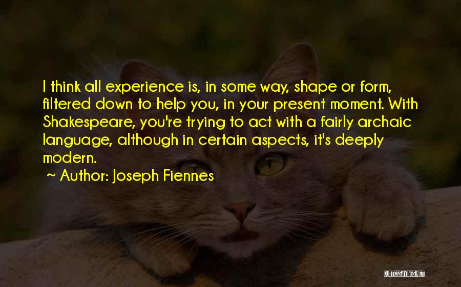 Joseph Fiennes Quotes: I Think All Experience Is, In Some Way, Shape Or Form, Filtered Down To Help You, In Your Present Moment.