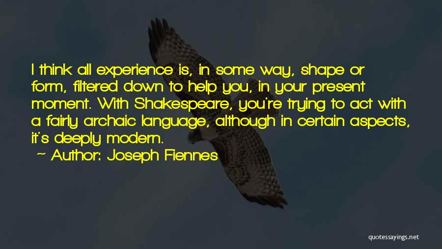 Joseph Fiennes Quotes: I Think All Experience Is, In Some Way, Shape Or Form, Filtered Down To Help You, In Your Present Moment.