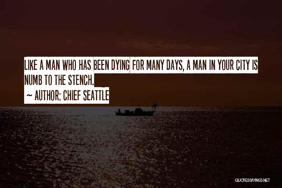 457 Plans Quotes By Chief Seattle