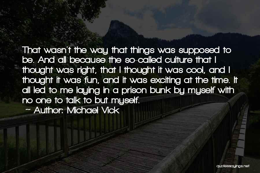 Michael Vick Quotes: That Wasn't The Way That Things Was Supposed To Be. And All Because The So-called Culture That I Thought Was