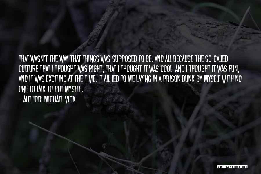 Michael Vick Quotes: That Wasn't The Way That Things Was Supposed To Be. And All Because The So-called Culture That I Thought Was