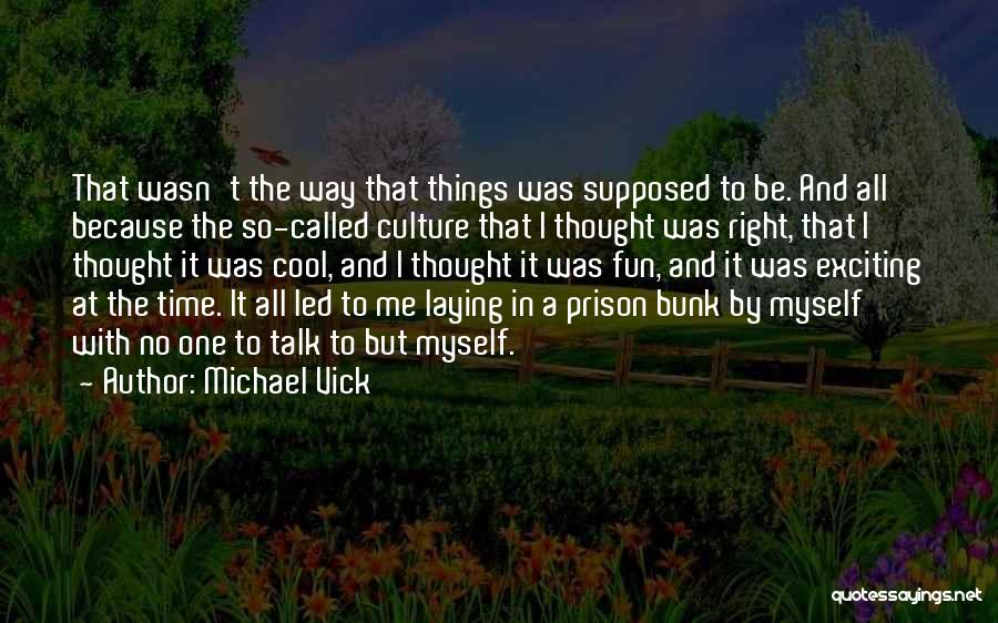 Michael Vick Quotes: That Wasn't The Way That Things Was Supposed To Be. And All Because The So-called Culture That I Thought Was
