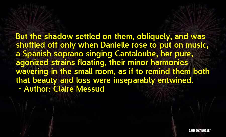 Claire Messud Quotes: But The Shadow Settled On Them, Obliquely, And Was Shuffled Off Only When Danielle Rose To Put On Music, A