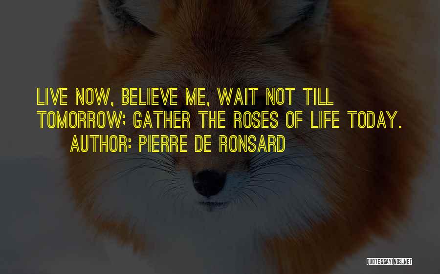 Pierre De Ronsard Quotes: Live Now, Believe Me, Wait Not Till Tomorrow; Gather The Roses Of Life Today.