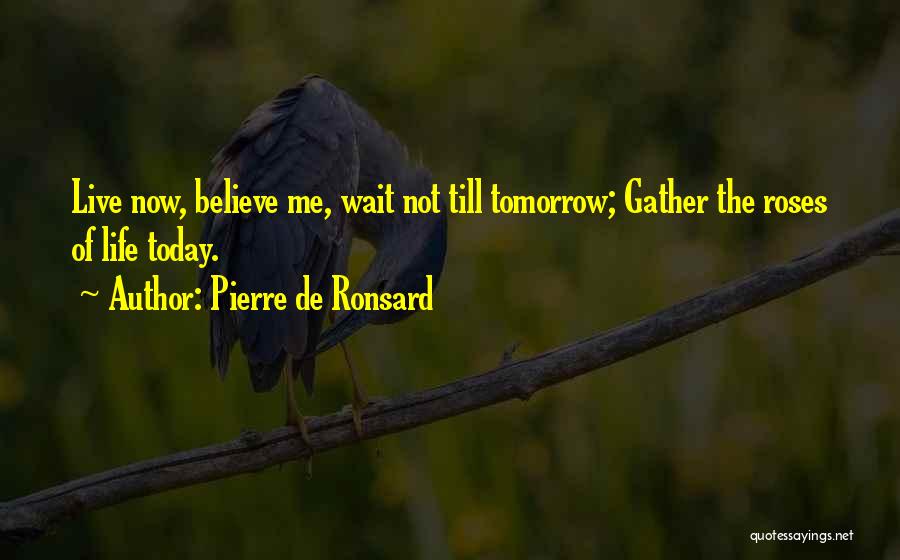 Pierre De Ronsard Quotes: Live Now, Believe Me, Wait Not Till Tomorrow; Gather The Roses Of Life Today.