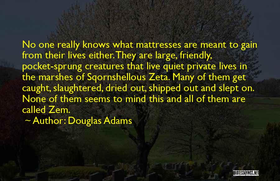 Douglas Adams Quotes: No One Really Knows What Mattresses Are Meant To Gain From Their Lives Either. They Are Large, Friendly, Pocket-sprung Creatures