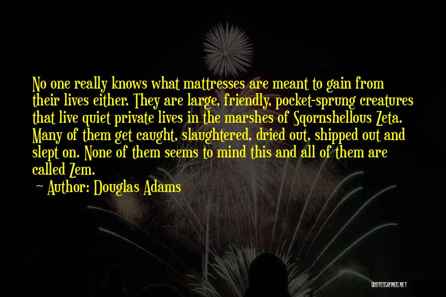 Douglas Adams Quotes: No One Really Knows What Mattresses Are Meant To Gain From Their Lives Either. They Are Large, Friendly, Pocket-sprung Creatures