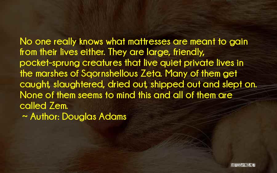 Douglas Adams Quotes: No One Really Knows What Mattresses Are Meant To Gain From Their Lives Either. They Are Large, Friendly, Pocket-sprung Creatures