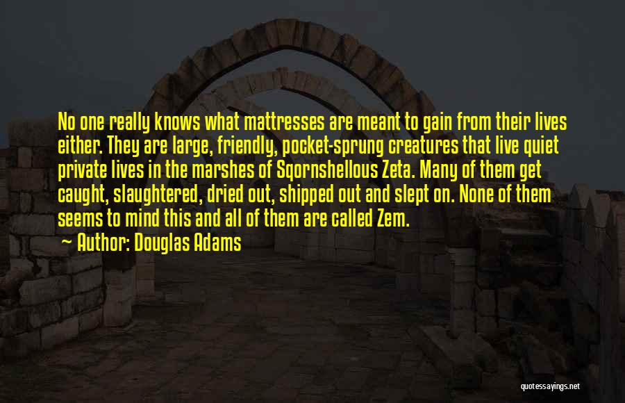 Douglas Adams Quotes: No One Really Knows What Mattresses Are Meant To Gain From Their Lives Either. They Are Large, Friendly, Pocket-sprung Creatures