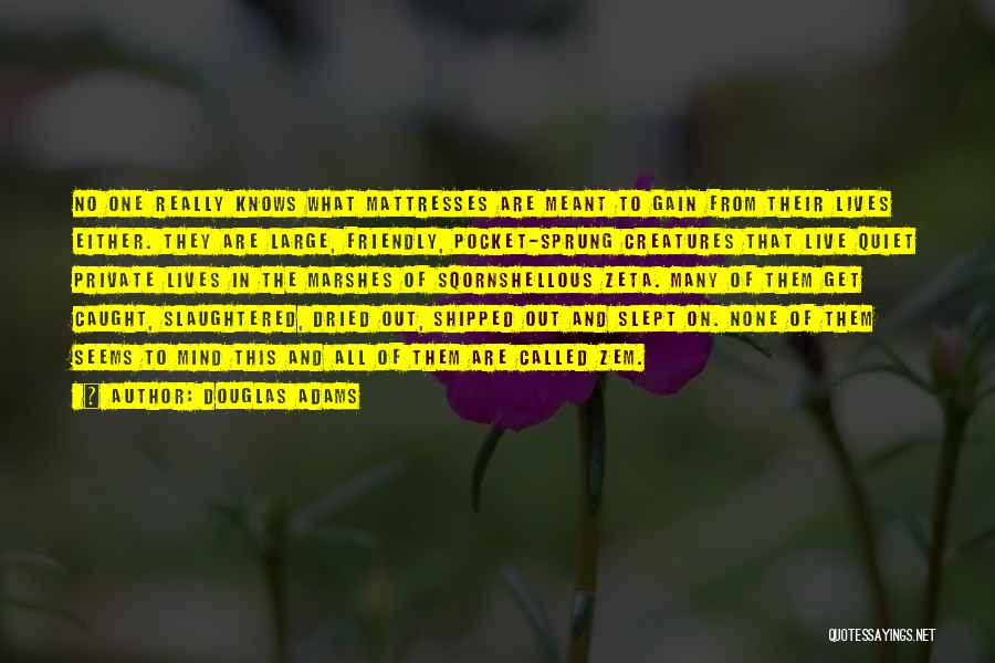 Douglas Adams Quotes: No One Really Knows What Mattresses Are Meant To Gain From Their Lives Either. They Are Large, Friendly, Pocket-sprung Creatures