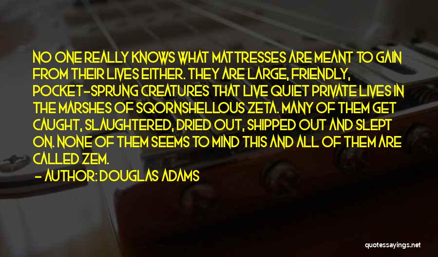 Douglas Adams Quotes: No One Really Knows What Mattresses Are Meant To Gain From Their Lives Either. They Are Large, Friendly, Pocket-sprung Creatures