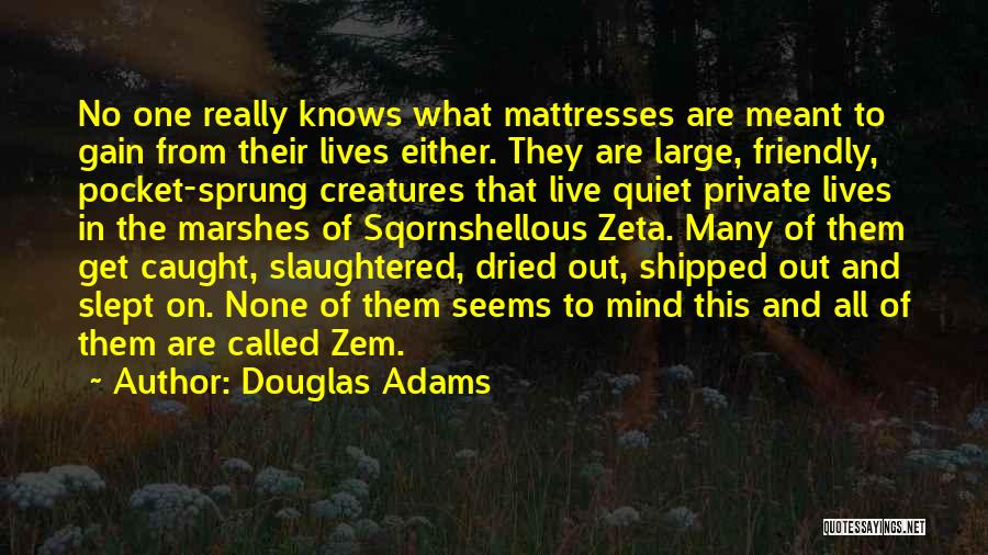 Douglas Adams Quotes: No One Really Knows What Mattresses Are Meant To Gain From Their Lives Either. They Are Large, Friendly, Pocket-sprung Creatures