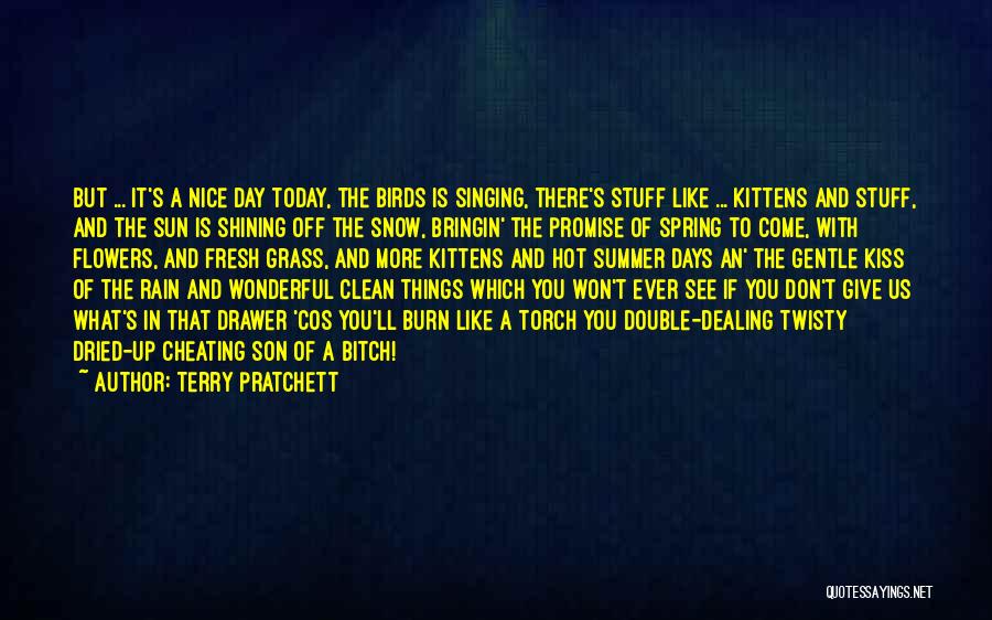 Terry Pratchett Quotes: But ... It's A Nice Day Today, The Birds Is Singing, There's Stuff Like ... Kittens And Stuff, And The